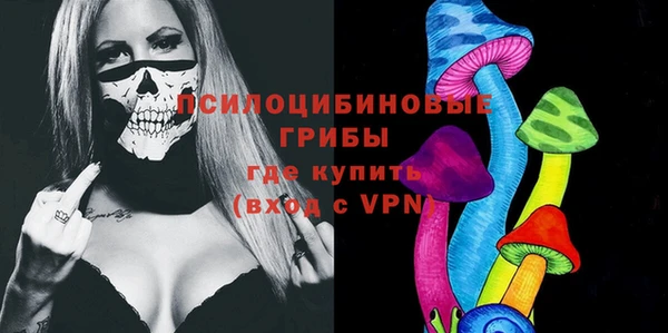 ешки Алексин