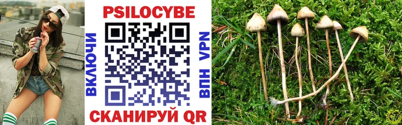 где купить наркотик  blacksprut ссылки  Псилоцибиновые грибы GOLDEN TEACHER  Бронницы 